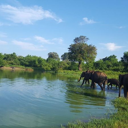 Kuma Safari Lodge Udawalawe Zewnętrze zdjęcie
