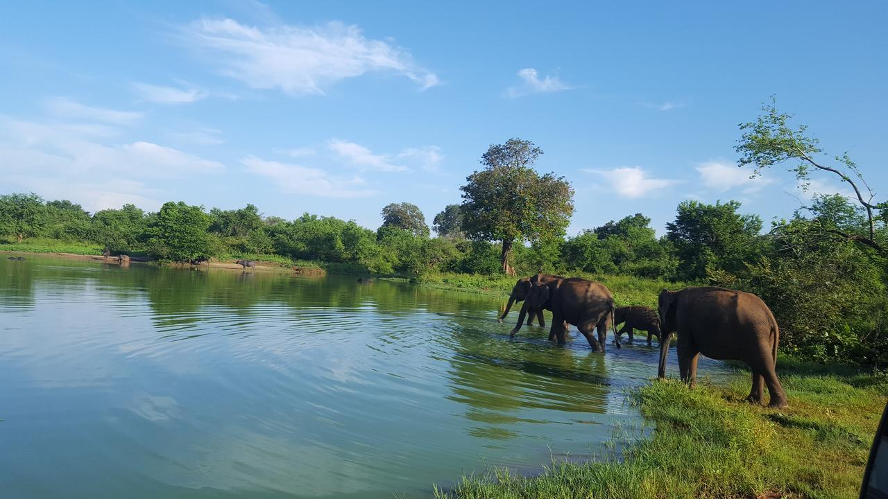 Kuma Safari Lodge Udawalawe Zewnętrze zdjęcie
